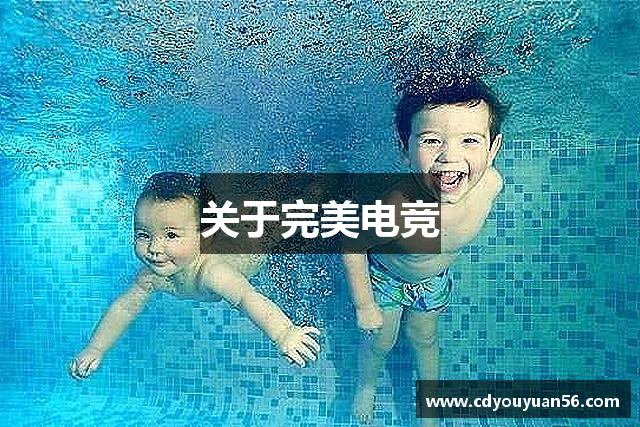 关于完美电竞